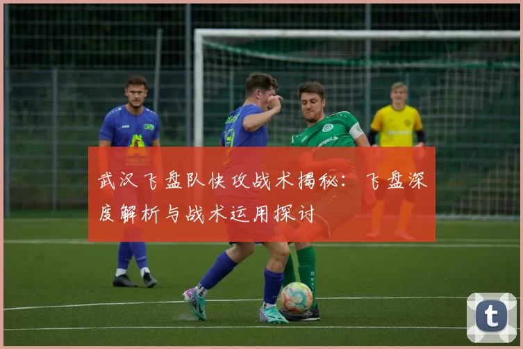 武汉飞盘队快攻战术揭秘：飞盘深度解析与战术运用探讨