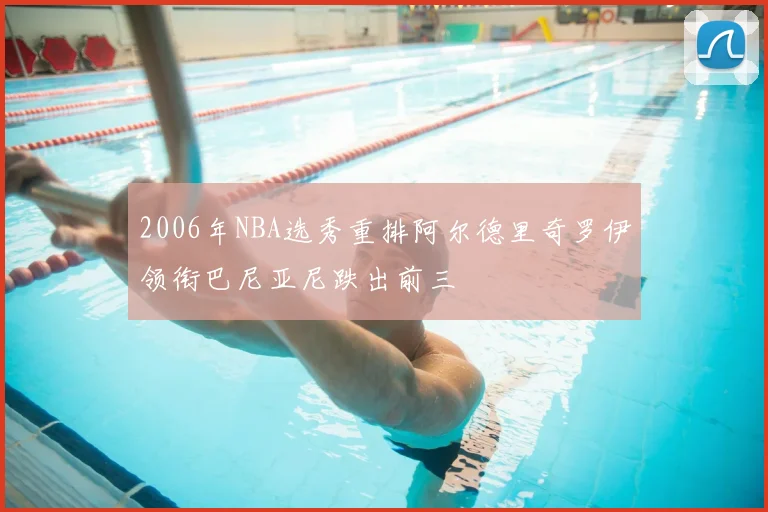 2006年NBA选秀重排阿尔德里奇罗伊领衔巴尼亚尼跌出前三