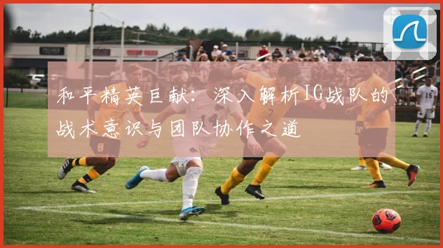 和平精英巨献：深入解析IG战队的战术意识与团队协作之道