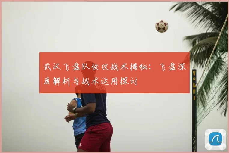 武汉飞盘队快攻战术揭秘：飞盘深度解析与战术运用探讨