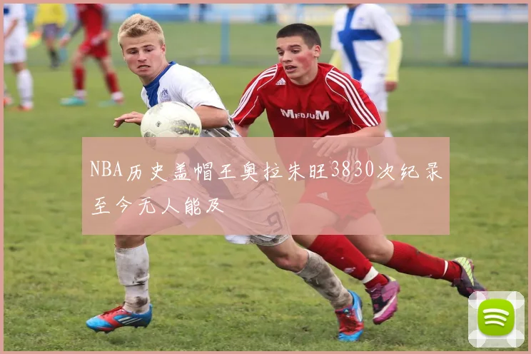NBA历史盖帽王奥拉朱旺3830次纪录至今无人能及