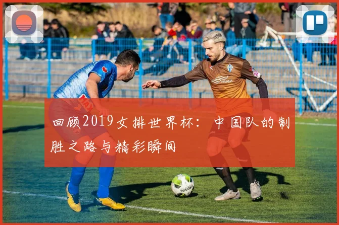 回顾2019女排世界杯:中国队的制胜之路与精彩瞬间