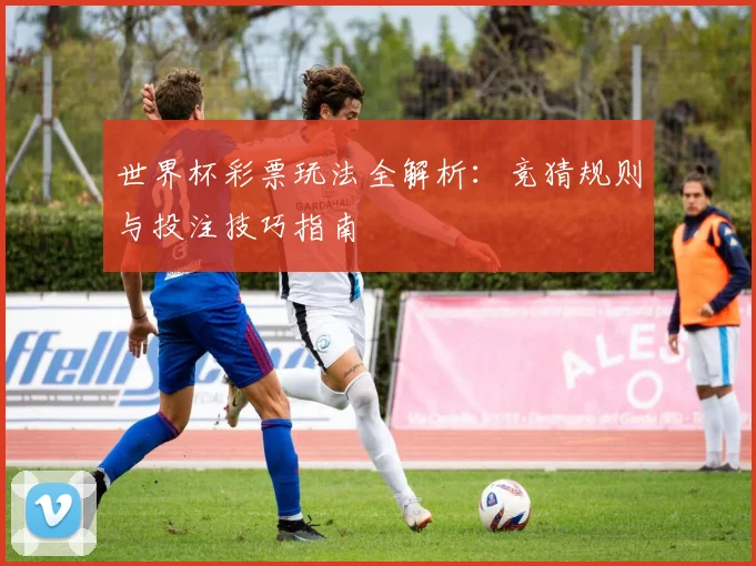 世界杯彩票玩法全解析:竞猜规则与投注技巧指南