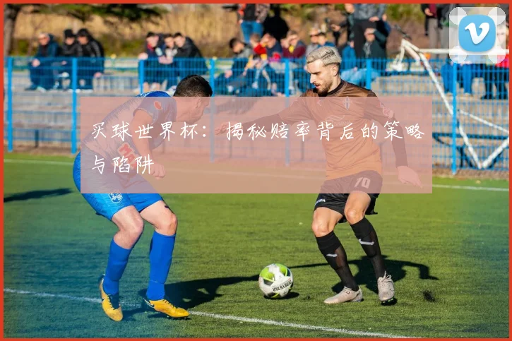买球世界杯:揭秘赔率背后的策略与陷阱
