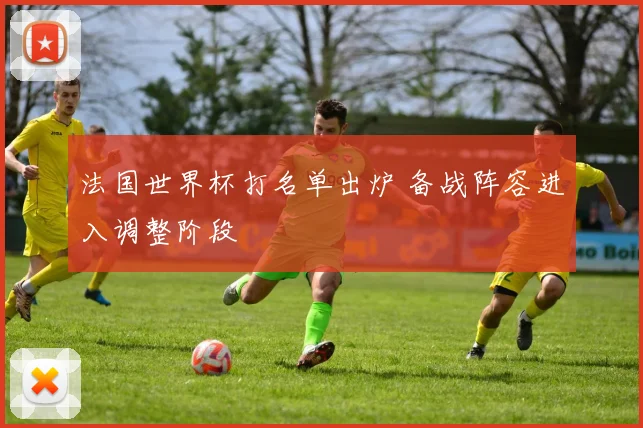 法国世界杯打名单出炉 备战阵容进入调整阶段