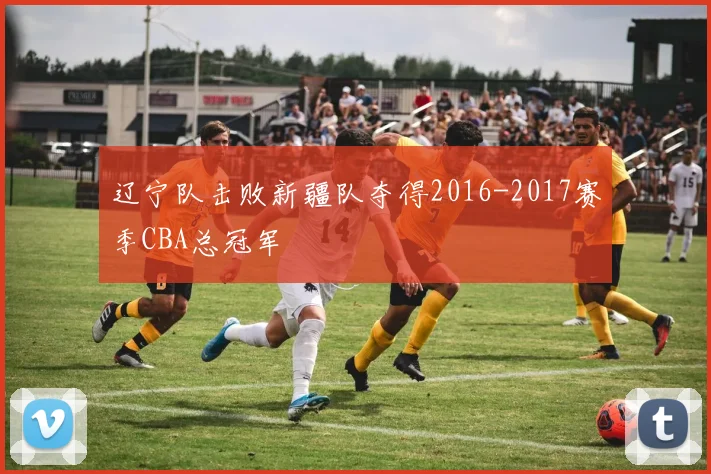 辽宁队击败新疆队夺得2016-2017赛季CBA总冠军