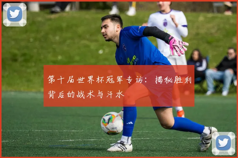第十届世界杯冠军专访：揭秘胜利背后的战术与汗水