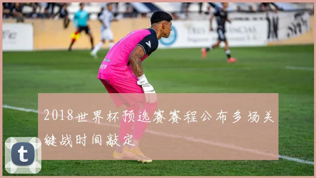 2018世界杯预选赛赛程公布多场关键战时间敲定
