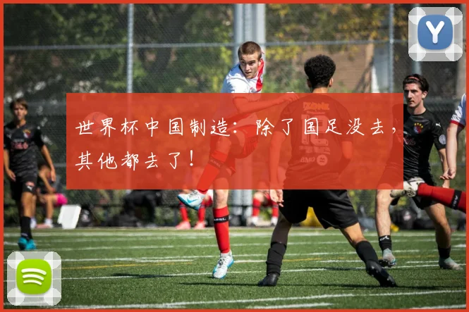 世界杯中国制造:除了国足没去,其他都去了!