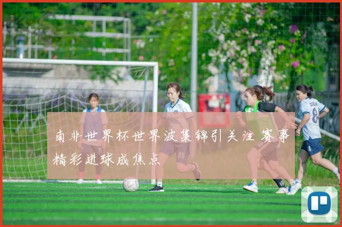 南非世界杯世界波集锦引关注 赛事精彩进球成焦点