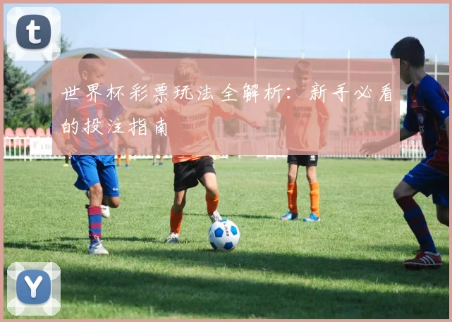 世界杯彩票玩法全解析:新手必看的投注指南