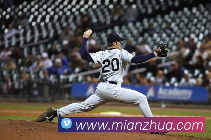 华体会手机网页版平台生态图